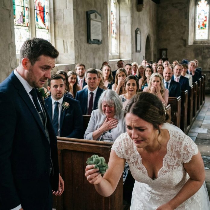 Transform_this_wedding_202603220530 (1)