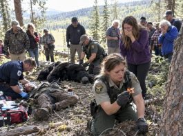 The villagers were already crying when they arrived, convinced the worst had happened. Then they saw what was really going on beside the bear, and the shock spread through the crowd.