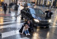 Her fiancé abandoned her without a second thought. Then one accident put her in a hospital bed—and the CEO responsible for hitting her refused to leave before she woke up.