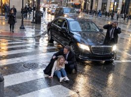 Her fiancé abandoned her without a second thought. Then one accident put her in a hospital bed—and the CEO responsible for hitting her refused to leave before she woke up.
