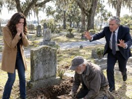 “‘Stop wasting your time at your grandfather’s grave,’ my dad always said. ‘The dead don’t need anything.’” On my 40th birthday, the gravedigger stopped me and whispered, “Your grandfather paid me in 1990 to dig behind that headstone today.”