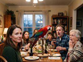 MY PARROT EXPOSED MY HUSBAND’S AFFAIR IN FRONT OF HIS FAMILY. IT REPEATED THE EXACT WORDS IT HEARD FROM HIM AND HIS SECRET WOMAN, USING THEIR OWN VOICES. I DIDN’T SAY A WORD. I JUST BROUGHT THE PARROT TO DINNER AND SAT IT BESIDE HIS MOTHER. WITHIN MINUTES, EVERYONE HEARD THE TRUTH HE THOUGHT HE HAD HIDDEN FOREVER.
