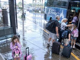 My 6-year-old daughter called me at work, sobbing: “Mommy, Grandma left me in the rain.” I paid $8,740 for Disney, but my parents took my sister’s kids and left my daughter behind. I made one call… and Mom called 20 times.