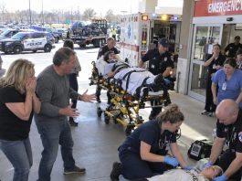 The car crash that injured my brother somehow left me unconscious, though I wasn’t even there. “Just a strange coincidence,” our parents insisted. But the hospital’s DNA test revealed a truth they’d buried since our birth… Then…