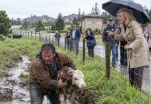 “Pay $10,000 or lose your farm!” the HOA president screamed while I rescued a drowning calf on my own land. I looked her in the eye and said, “Then explain why your entire office is built on MY property!”