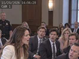 My husband spent months convincing our sons that I was destroying the family. What he didn’t tell them was that he had transferred nearly $1.8 million in marital assets into companies bearing their names. When the judge mentioned those companies, every smile on their side of the courtroom disappeared.