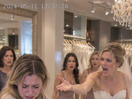 Fifteen years of friendship ended when my sister’s best friend kicked her out of the bridal party for not looking glamorous enough. The bride had no idea my sister had secretly purchased first-class flights and a luxury Bora Bora honeymoon. One cancellation would change everything.