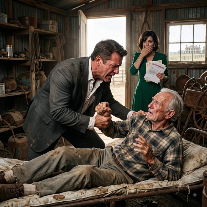 Son_confronting_confused_elderly…_2K_20261012212106
