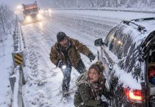 I pulled over in the middle of a brutal snowstorm to help a stranded stranger change a flat tire, then drove away without even telling him my name. Eight days later, my mother was screaming at me to turn on the TV, and when I finally saw what was on the screen, I understood why my ex-husband suddenly wanted half of everything I owned.