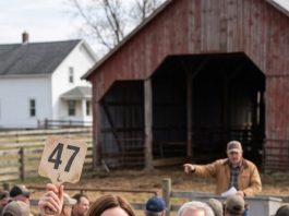y father-in-law sold my husband’s childhood farm for $286,000 because he thought marrying a city girl was a mistake.