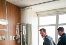 My hands were shaking as I held the legal papers confirming my $100 million inheritance. I rushed home to surprise my husband, but a devastating crash sent me straight to the ICU. He didn’t visit once, brutally telling me he had no time or money for a loser. Days later, he strutted into my room with his smug new bride to humiliate me, but the moment she saw my face, she paled and screamed, “Oh my God, she is my…”