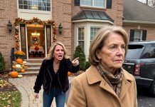My daughter-in-law uninvited me from Thanksgiving, saying, “This showcase is no place for someone as homespun as you.” For two years, I’d been paying her rent and Range Rover lease. I didn’t argue. I simply replied, “Real wealth funds itself.” Then I started canceling everything. Cancel. Cancel. Cancel…