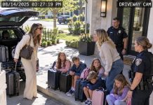 The five kids were sitting on the curb when I arrived, each holding a suitcase and trying not to cry. Their mother—my sister—was already on a flight to Hawaii. I thought the worst part was the abandonment until I called the police. Then they told me she had submitted documents with my name on them three days earlier.