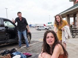 My Brother Stripped Me Naked at a Highway Rest Stop, Threw My Clothes Out the Window, and Drove Away: “Walk Home, Trash.” He Had No Idea What I’d Do Next.